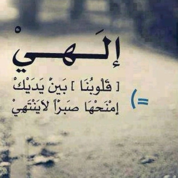 h_zaineb
